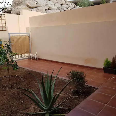 Apartament Open Plan Cozy Big Studio Costa Adeje Wi-fi Pool *